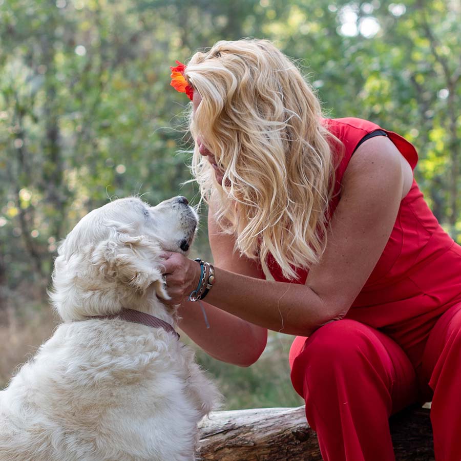 Linda van der Linden Album